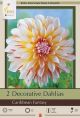 Dahlia Decorative Caribbean Fantasy 2PK