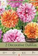 Dahlia Decorative Painters Pallette 2PK