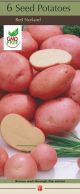 Potato Red Norland 1#