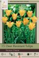 Tulip Bronze Charm 15PK