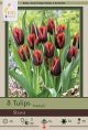 Tulip Slawa 7PK