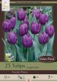 Tulip Purple Prince 16 PK