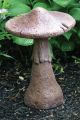 Kennett Mushroom 16