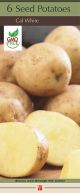 Potato Cal White 6PK