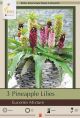 Eucomis Mixture 3PK