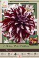 Dahlia Dinner Plate Tartan 2PK