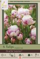 Tulip Double Suprise 7PK