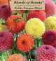 Dahlia PomPon Blend 3PK