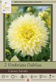 Dahlia Canary Fubuki 2PK