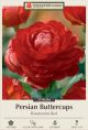 Ranunculus Red 10PK
