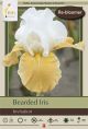 Iris Bearded Invitation