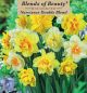 Narcissus Double Blend 14PK