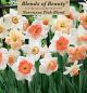 Narcissus Pink Blend 14PK