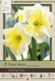 Naricissus Smiling Twin 8PK