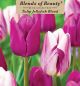 Tulip Jellyfish Blend 12PK