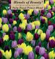 Tulip Royal Prince Blend 12PK
