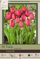 Tulip Yosemite 7PK