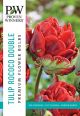 Tulip Rococo 8PK
