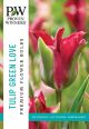 Tulip Green Love 8PK