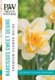 Narcissus Sweet Desire 8PK