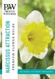 Narcissus Attraction 8PK