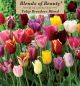 Tulips Breeders Blend 12PK