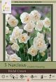 Narcissus Bridal Crown 7PK