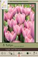 Tulip Light and Dreamy 7 PK