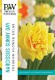 Narcissus Sunny Day 8PK