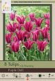 Tulip Purple Doll 7PK