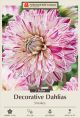 Dahlia Deco Smokey 2PK