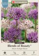 Allium Starlight Blend 6PK