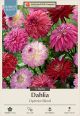 Dahlia Deco Optimist Blend 3PK