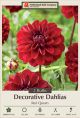 Dahlia Deco Red Queen 2PK