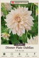 Dahlia Dinner Plate Cafe Au Lait 2PK