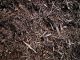 Brown Cedar Mulch