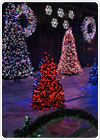 Holiday Light Show