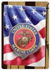 Veteran's Day