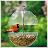 Bird Feeders