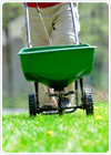 Lawn Fertilizer