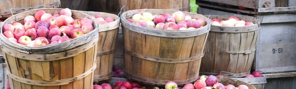 How to Store Apples and Keep Them Fresh
