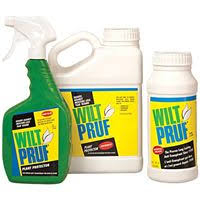 Using Wilt Pruf