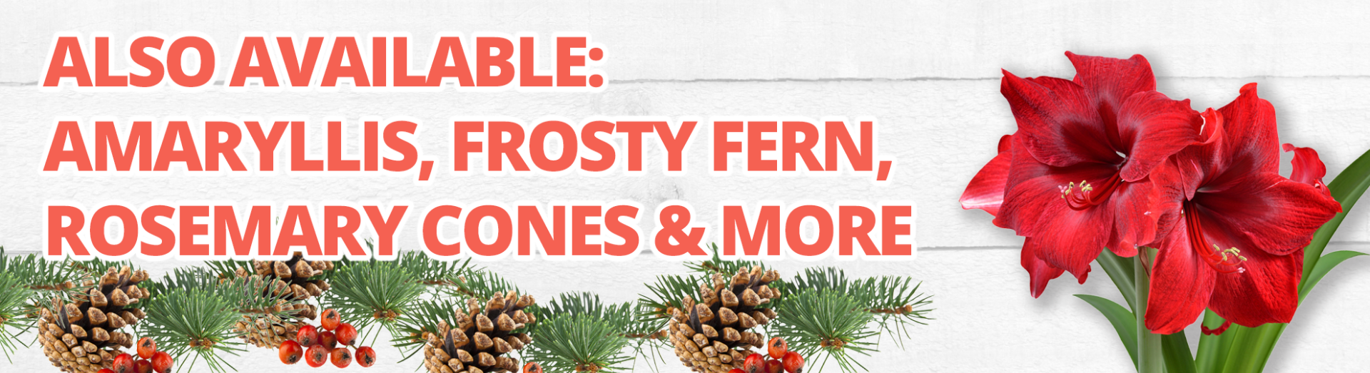 GF24_ChristmasAdditionalBanner