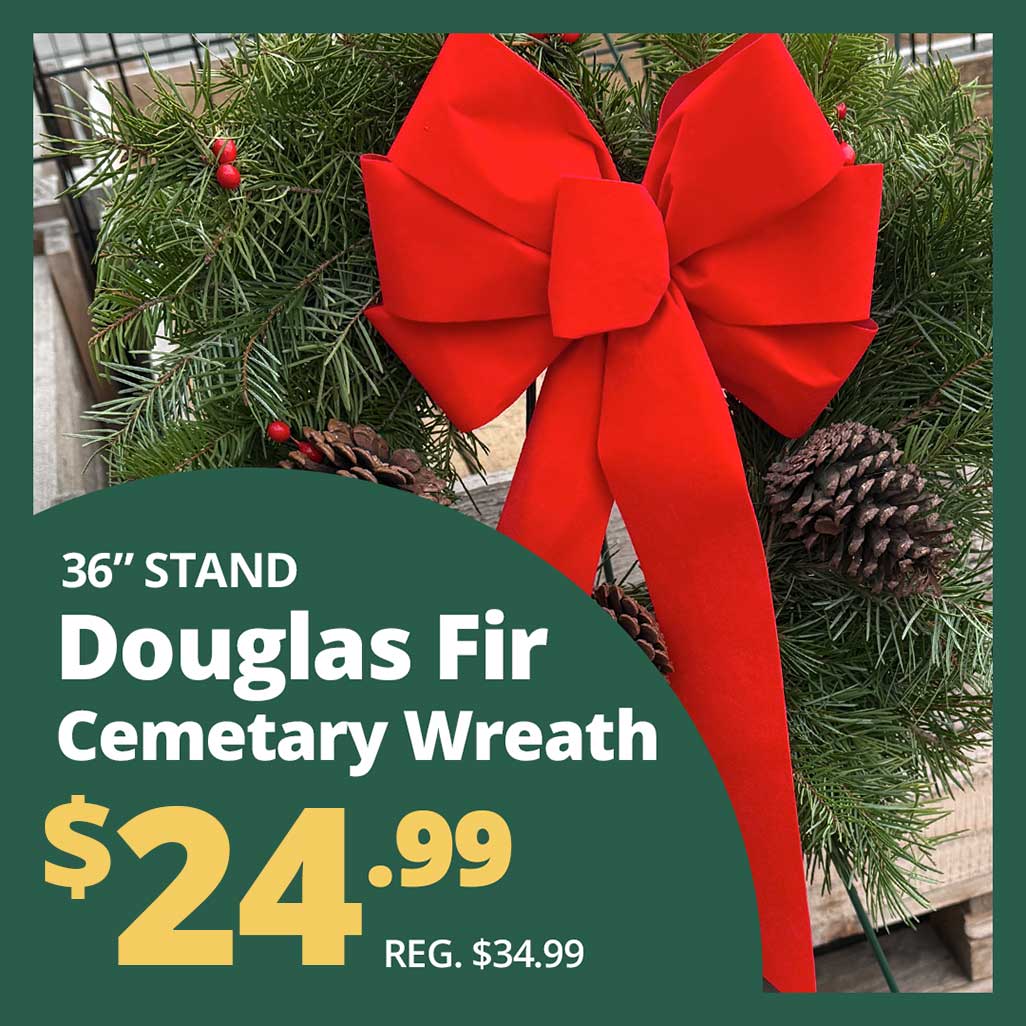 Douglas-Fir-Cemetery