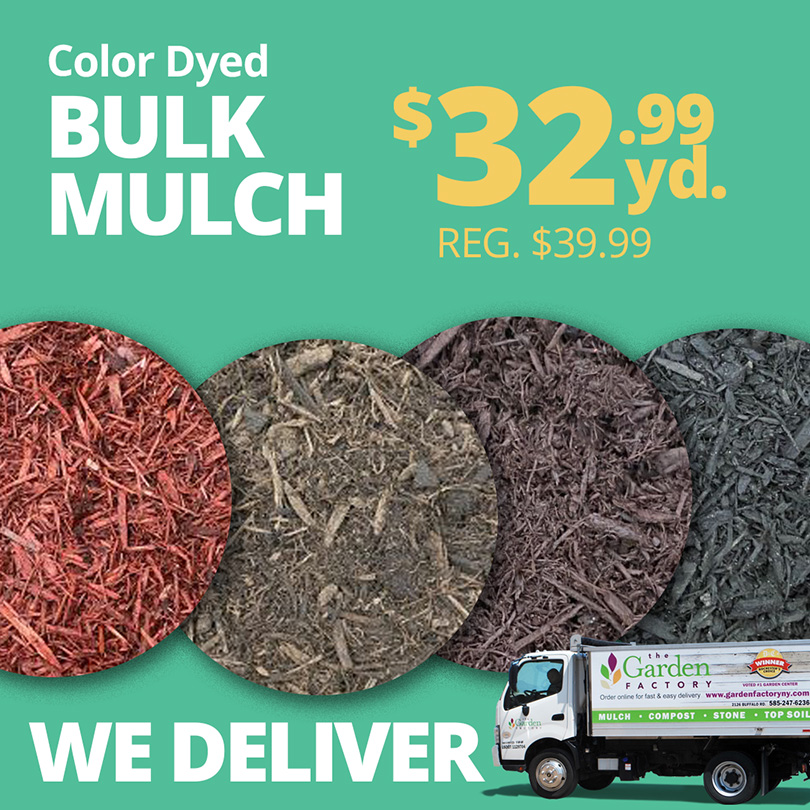 GF25_DyedBulkMulch