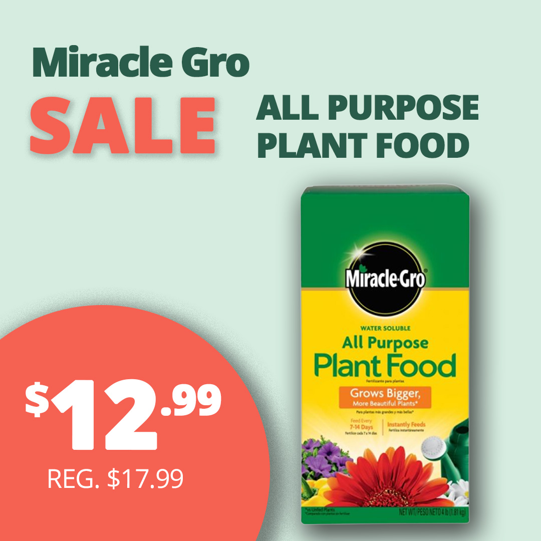 GF25_MiraclePlantFood