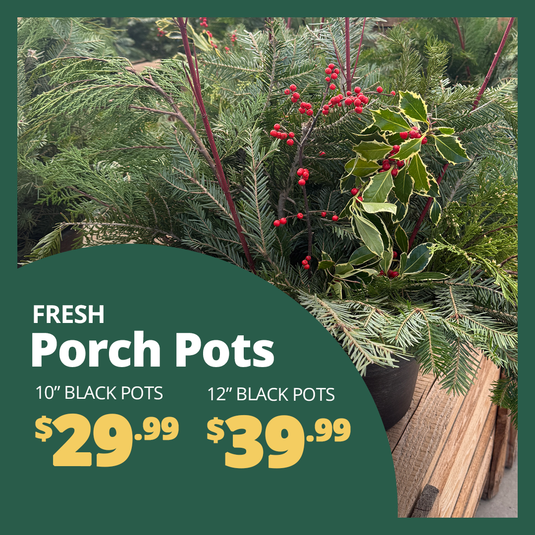 GF25_PorchPots