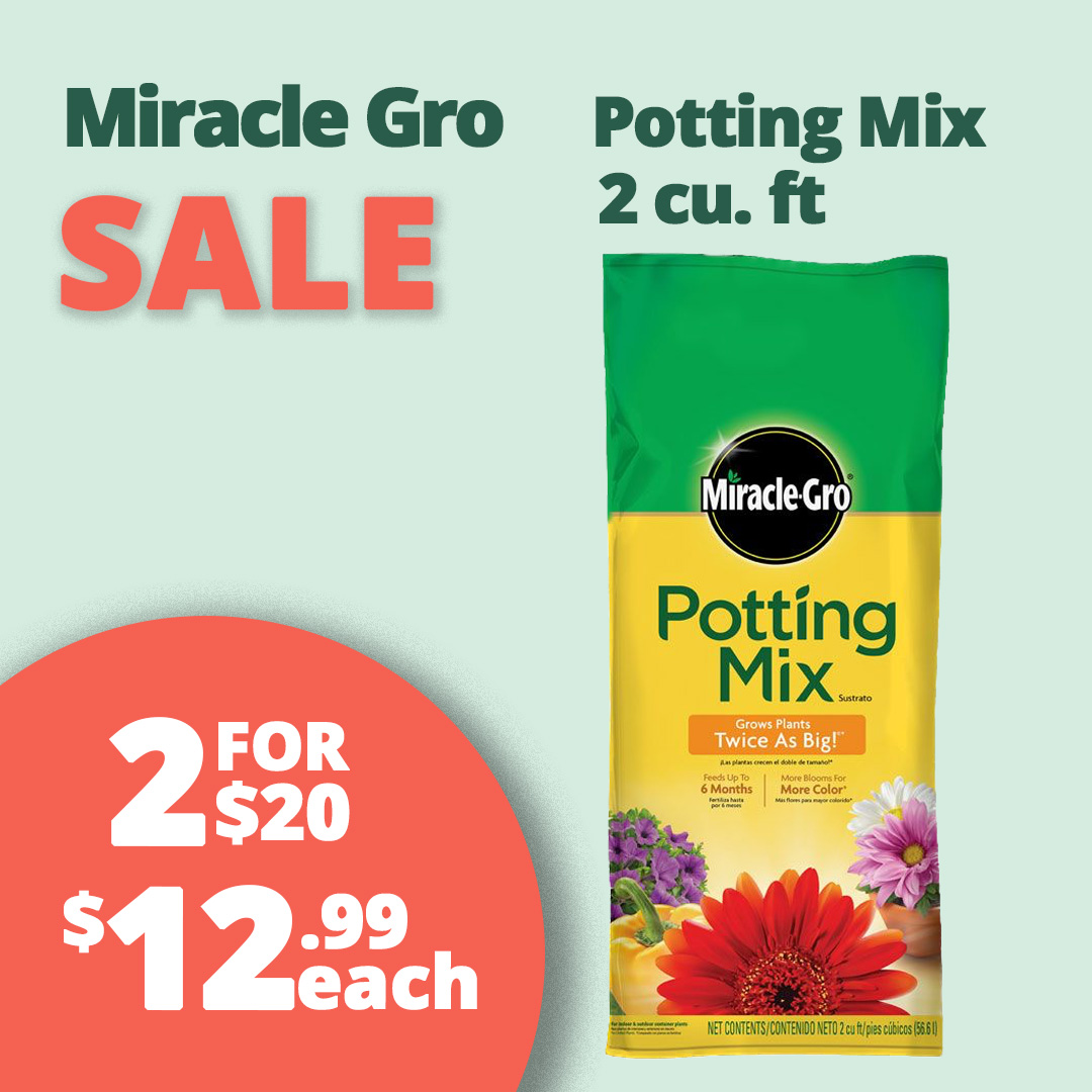 GF25_Pottingmix2