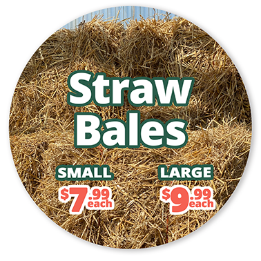 GF25_StrawBales