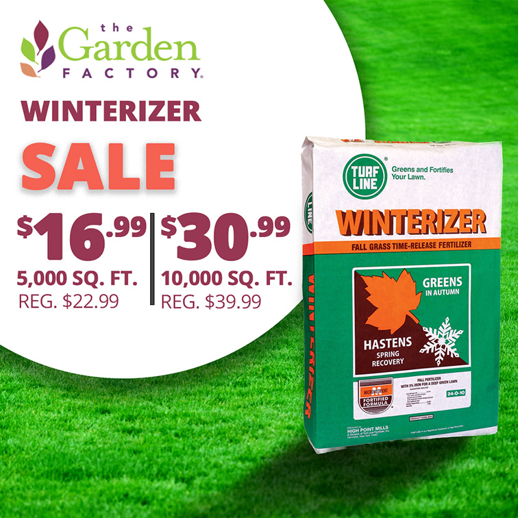 GF25_Winterizer